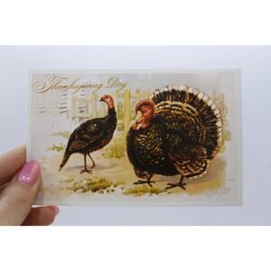 Thanksgiving Day, Two Turkeys, R J Wealthy, 1900s, Antique Postcard, Color